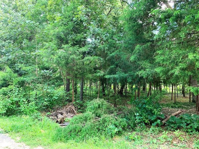 LOT114 Barkley Rd, Bullard, TX 75757 - photo 8
