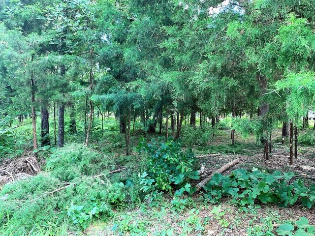 LOT114 Barkley Rd, Bullard, TX 75757 - photo 10