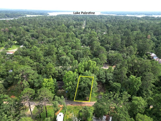LOT201 Young St, Bullard, TX 75757 - photo 1