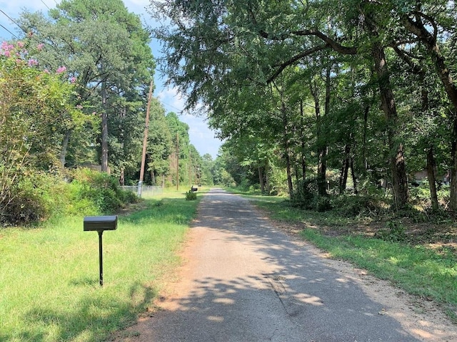 LOT201 Young St, Bullard, TX 75757 - photo 6
