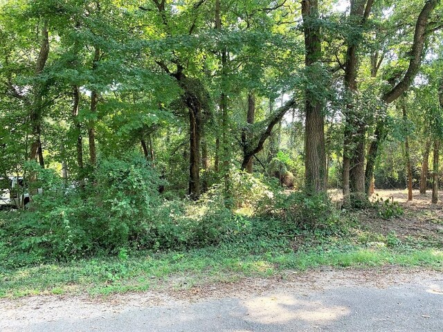 LOT201 Young St, Bullard, TX 75757 - photo 9
