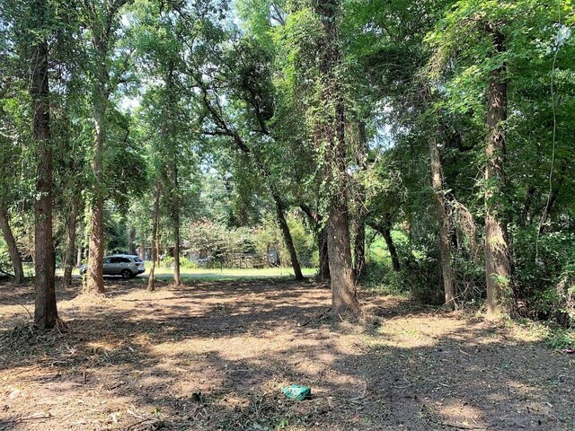 LOT201 Young St, Bullard, TX 75757 - photo 11
