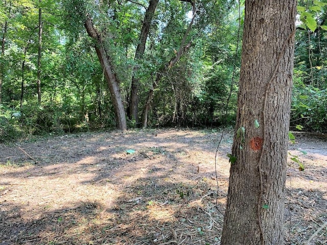 LOT201 Young St, Bullard, TX 75757 - photo 12