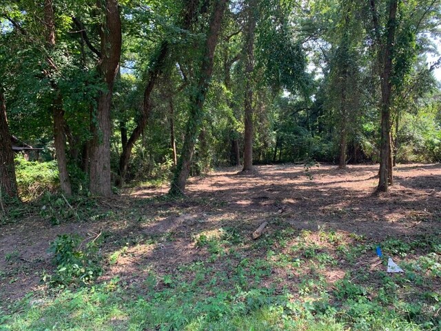 LOT201 Young St, Bullard, TX 75757 - photo 13