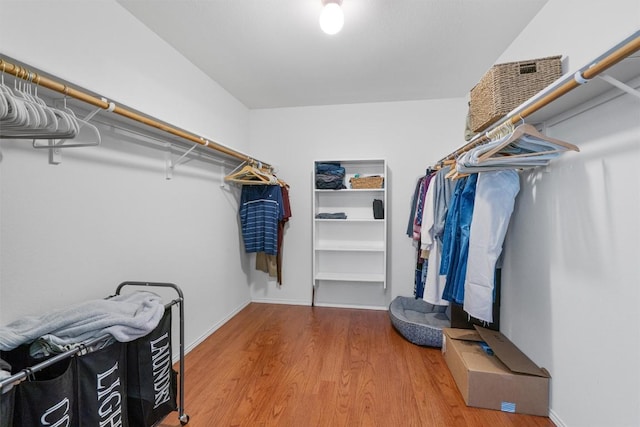 18037 Basket Flower Bnd, Elgin, TX 78621 - spacious closet featuring wood finished floors