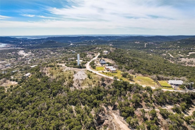 11207 Mountain Top Cir, Jonestown, TX 78645 - photo 11