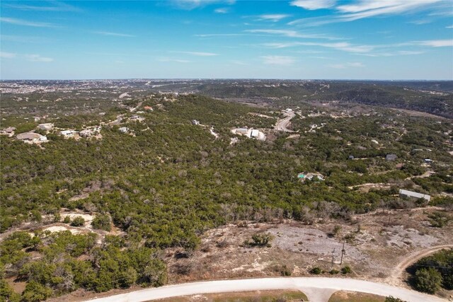 11207 Mountain Top Cir, Jonestown, TX 78645 - photo 16