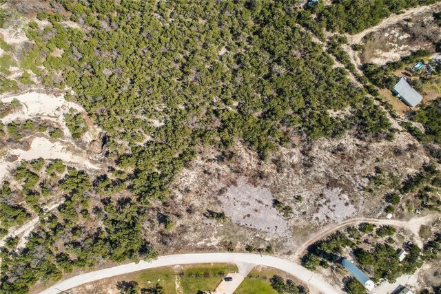 11207 Mountain Top Cir, Jonestown, TX 78645 - photo 17