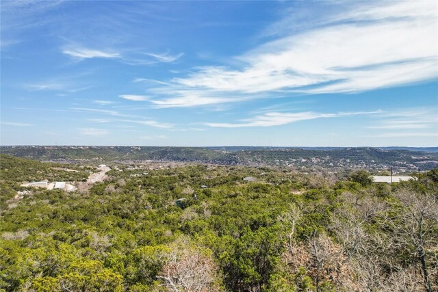 11207 Mountain Top Cir, Jonestown, TX 78645 - photo 18