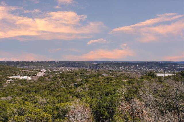 11207 Mountain Top Cir, Jonestown, TX 78645 - photo 21