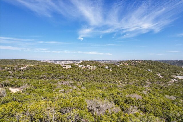 11207 Mountain Top Cir, Jonestown, TX 78645 - photo 22