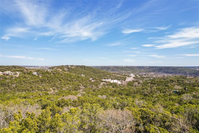 11207 Mountain Top Cir, Jonestown, TX 78645 - photo 23