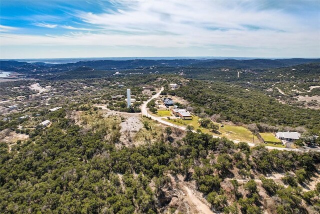 11207 Mountain Top Cir, Jonestown, TX 78645 - photo 29