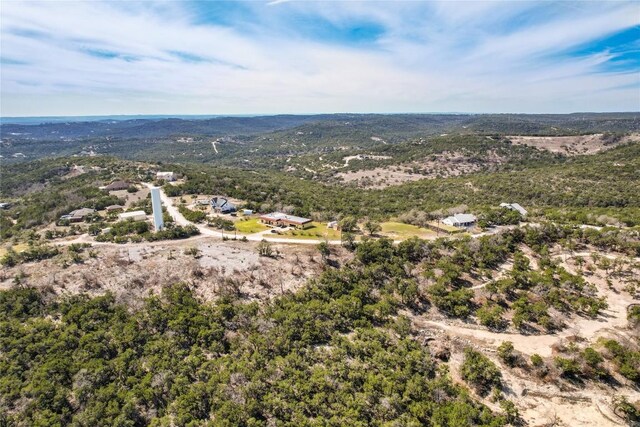 11207 Mountain Top Cir, Jonestown, TX 78645 - photo 30