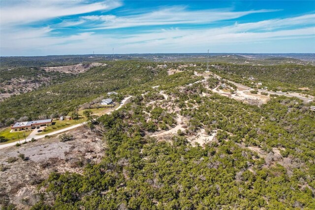 11207 Mountain Top Cir, Jonestown, TX 78645 - photo 31