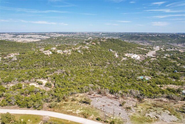 11207 Mountain Top Cir, Jonestown, TX 78645 - photo 33