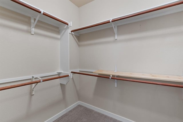 4706 Madrid Dr, Georgetown, TX 78628 - walk in closet featuring carpet floors