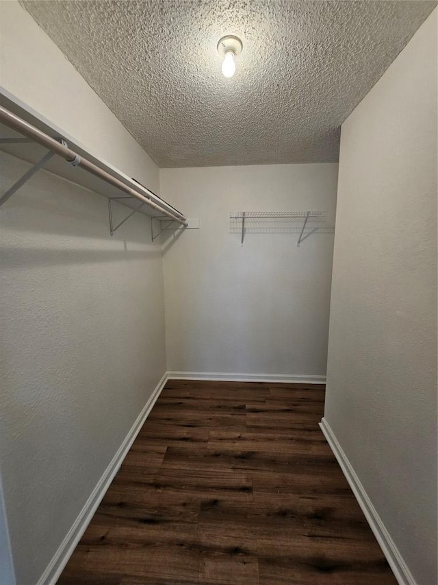 6903 Deatonhill Dr Unit 2, Austin, TX 78745 - walk in closet featuring dark wood-style flooring