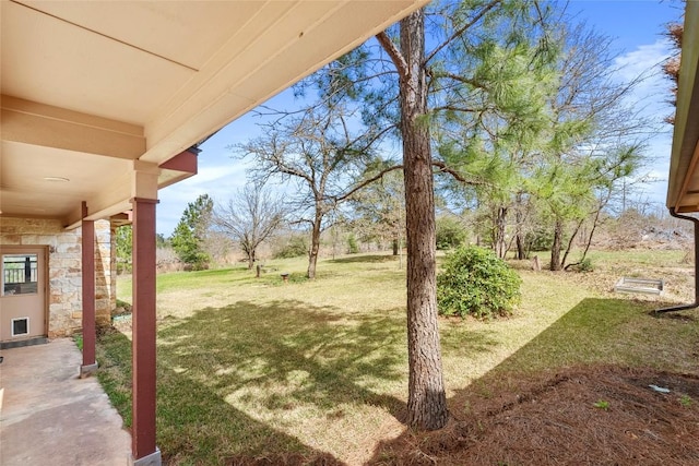 149 Colovista Dr, Bastrop, TX 78602 - view of green lawn