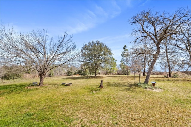 149 Colovista Dr, Bastrop, TX 78602 - view of green lawn