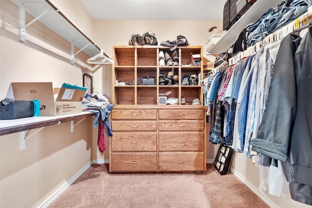 149 Colovista Dr, Bastrop, TX 78602 - walk in closet with light colored carpet