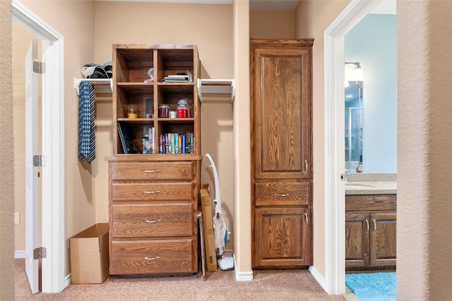 149 Colovista Dr, Bastrop, TX 78602 - view of closet