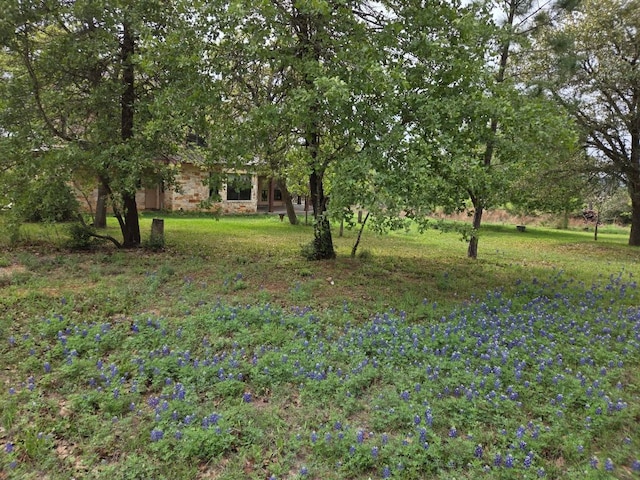 149 Colovista Dr, Bastrop, TX 78602 - view of grassy yard