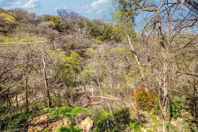 view of local wilderness featuring a wooded view