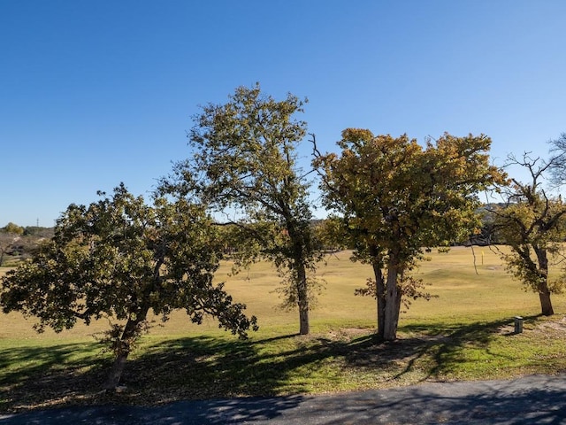 view of nature