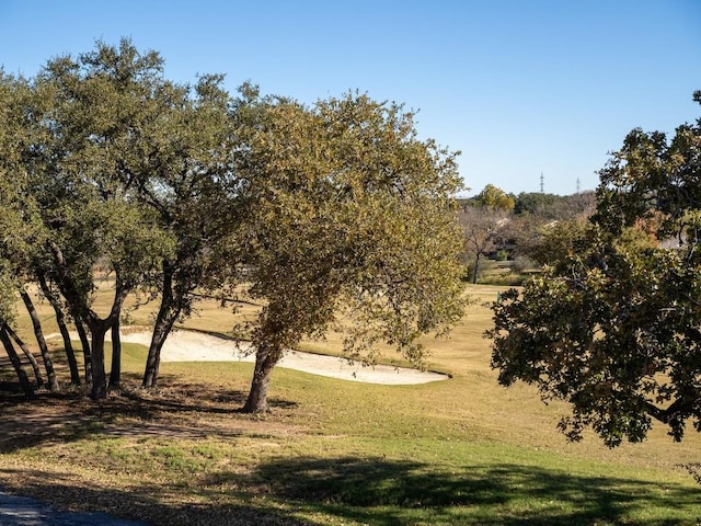 view of home's community with a yard