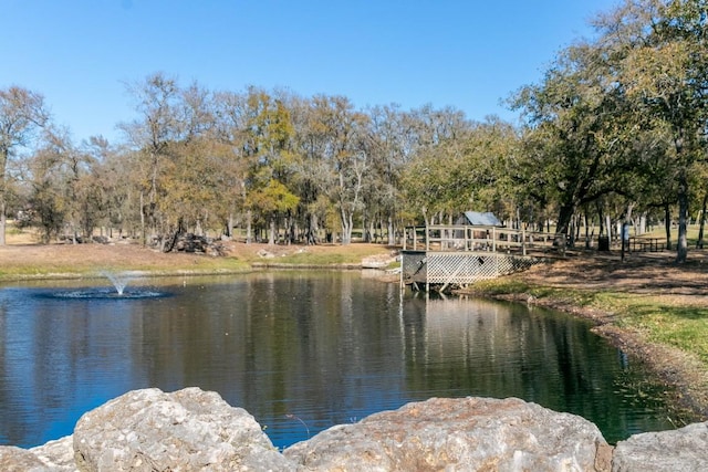 163 Plumbago Loop, Bastrop, TX 78602 - water view