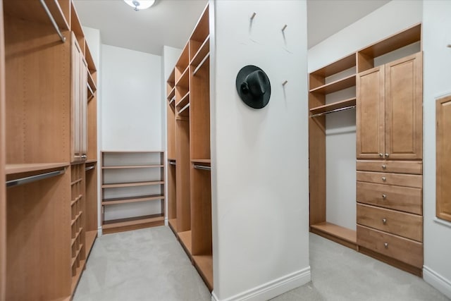 211 Jack Nicklaus Dr, Austin, TX 78738 - walk in closet featuring light carpet