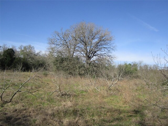 851 County Road 491, Elgin, TX 78621 - photo 4