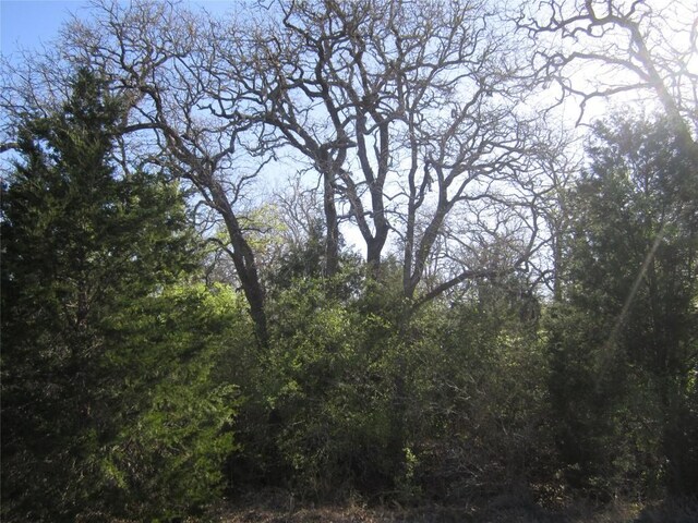 851 County Road 491, Elgin, TX 78621 - photo 5