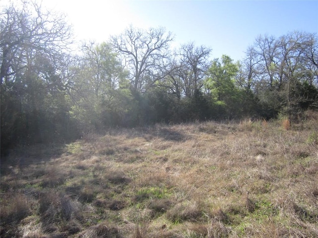 851 County Road 491, Elgin, TX 78621 - photo 6