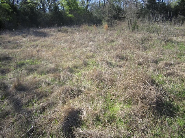 851 County Road 491, Elgin, TX 78621 - photo 7