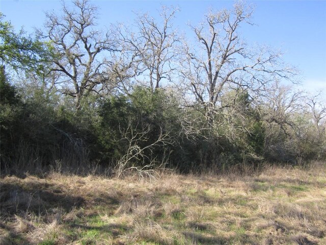 851 County Road 491, Elgin, TX 78621 - photo 8