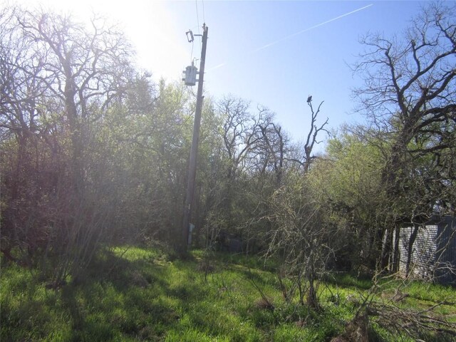 851 County Road 491, Elgin, TX 78621 - photo 10