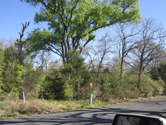 851 County Road 491, Elgin, TX 78621 - photo 15
