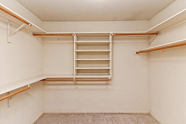 4437 Chickasaw Ct, Austin, TX 78749 - spacious closet with carpet