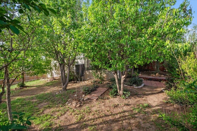 3717 Palo Pinto Cv, Round Rock, TX 78665 - photo 23