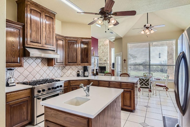 kitchen with decorative backsplash, a sink, stainless steel appliances, and under cabinet range hood