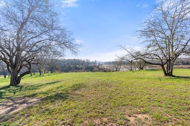 1559 County Road 343, Marble Falls, TX 78654 - photo 10