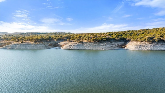 0 Angel Light Dr, Spicewood, TX 78669 - photo 1