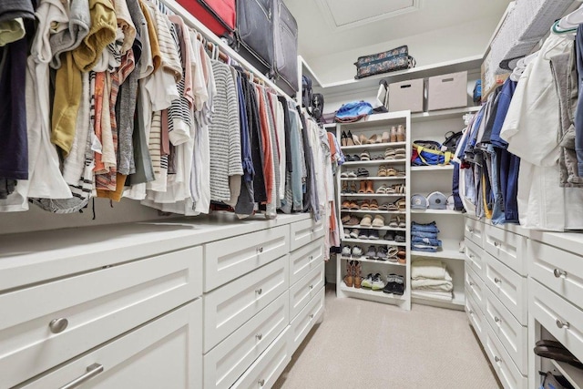 walk in closet featuring light carpet and attic access