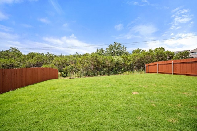 1601 Cardinal Ln, Round Rock, TX 78681 - view of yard