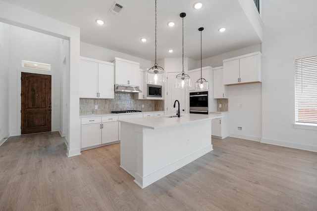 1601 Cardinal Ln, Round Rock, TX 78681 - kitchen with a sink, stainless steel microwave, light wood-style flooring, under cabinet range hood, and recessed lighting