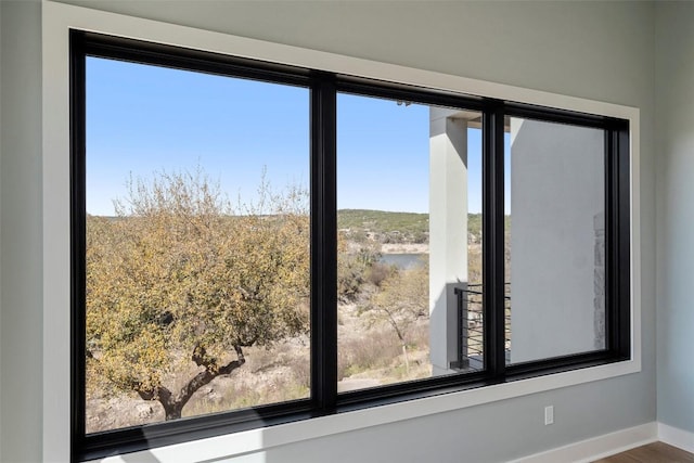 3113 Stableford Cv, Spicewood, TX 78669 - detailed view of baseboards