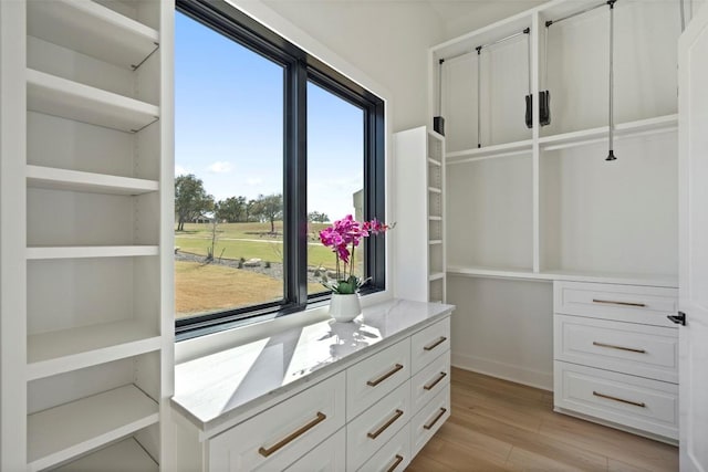 3113 Stableford Cv, Spicewood, TX 78669 - spacious closet featuring light wood-style flooring