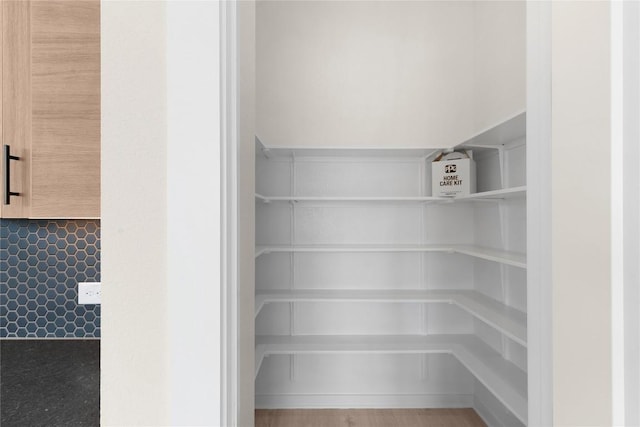 2705 Sage Ranch Dr Unit 26, Leander, TX 78641 - view of pantry